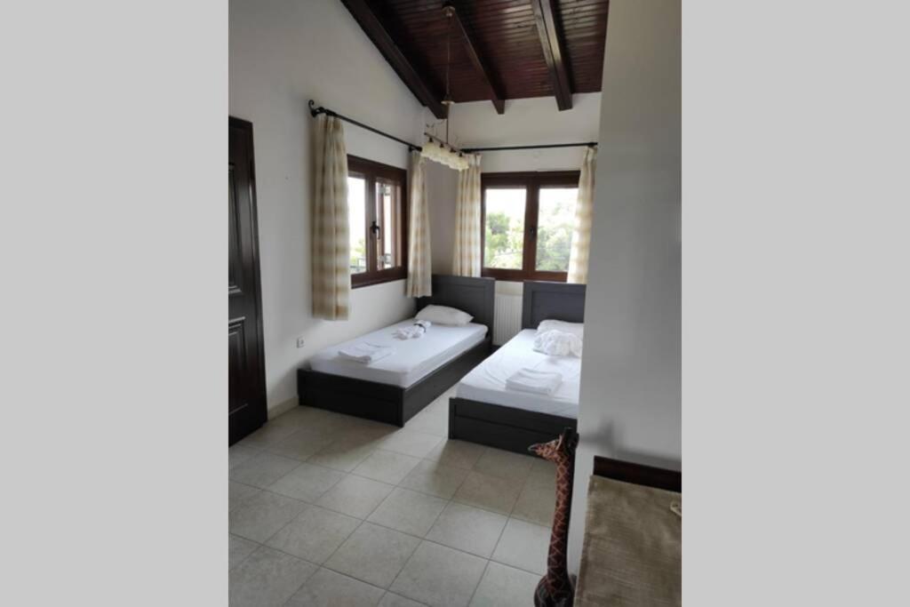 Artemis Penthouse 10 Minute From National Airport Villa Buitenkant foto
