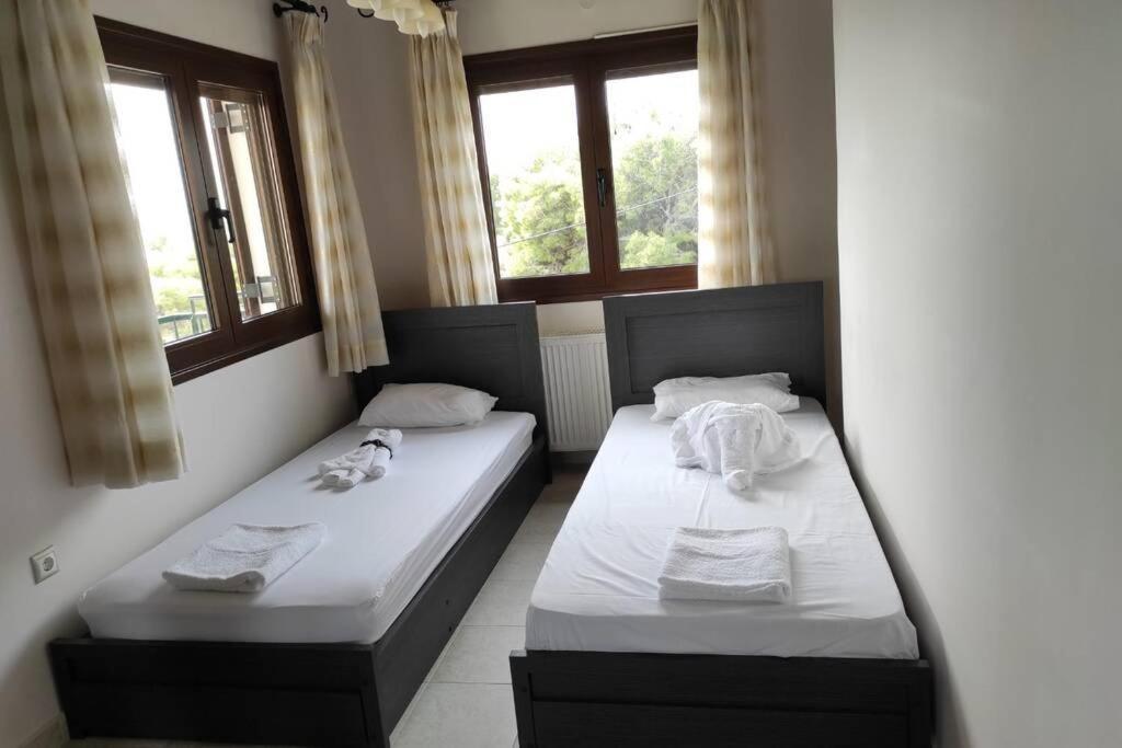 Artemis Penthouse 10 Minute From National Airport Villa Buitenkant foto