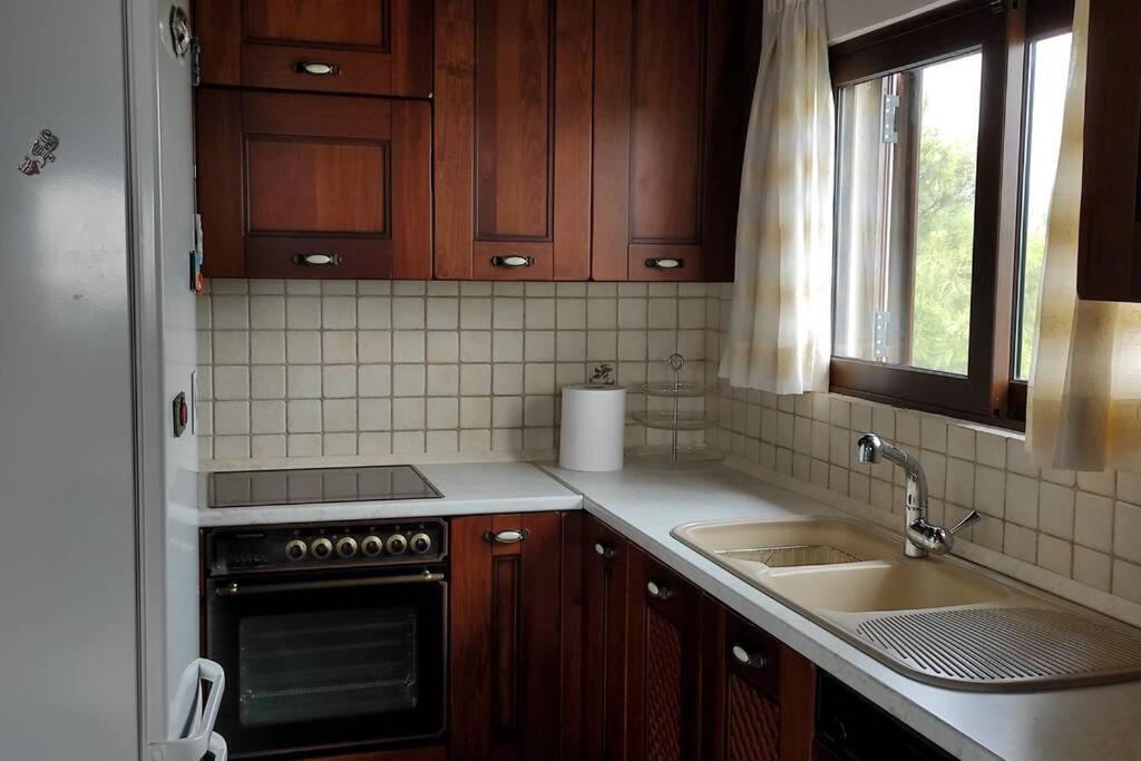 Artemis Penthouse 10 Minute From National Airport Villa Buitenkant foto