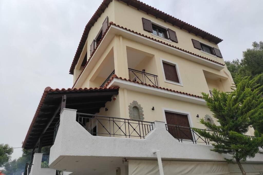 Artemis Penthouse 10 Minute From National Airport Villa Buitenkant foto
